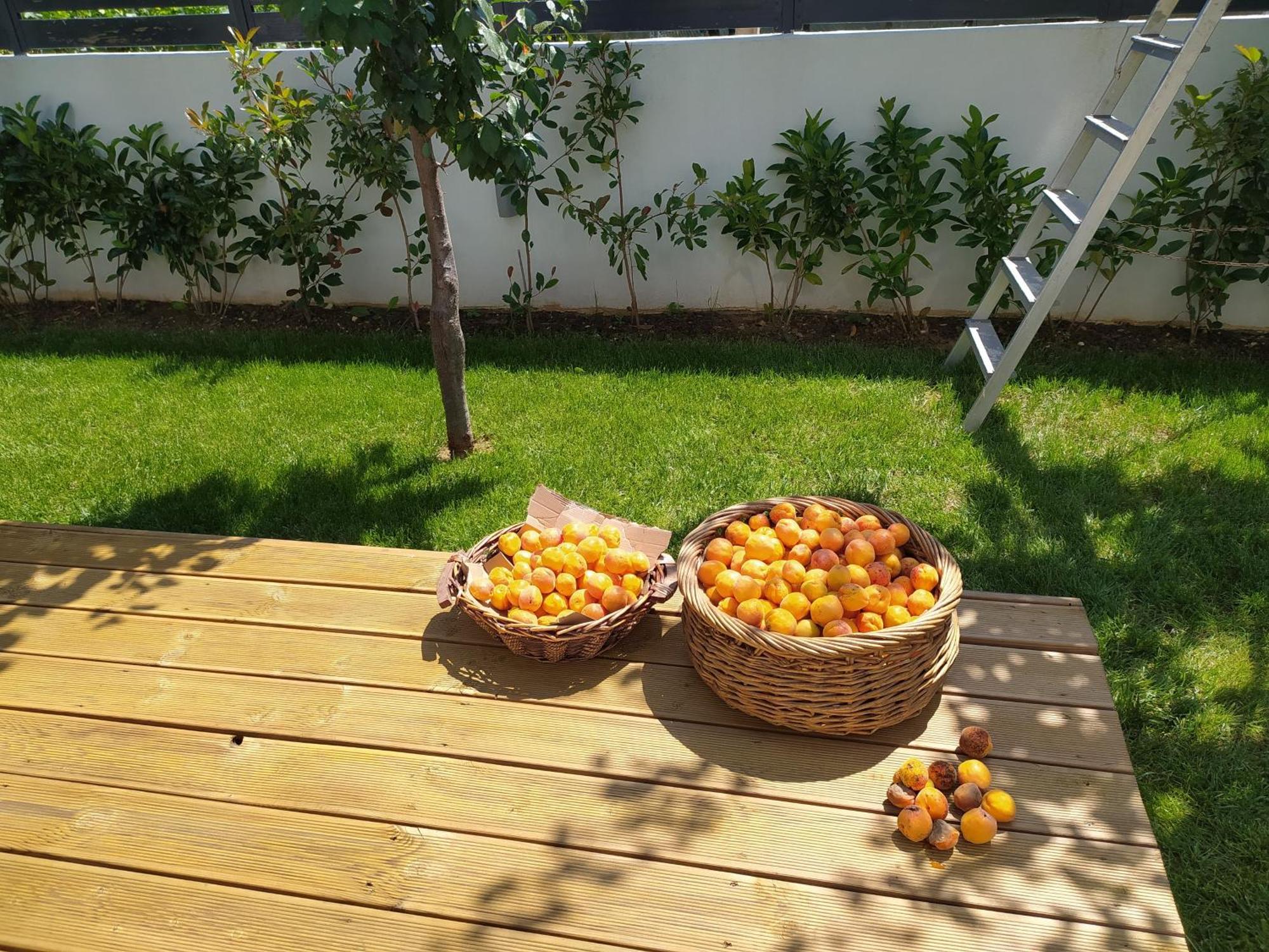 Marena B&B Pogradec Esterno foto